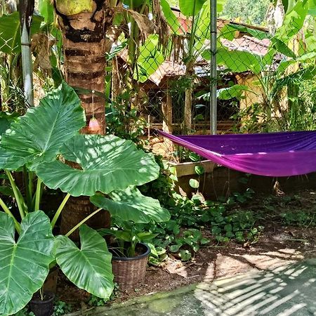 La Maison De Soriya - Work & Stay Kampot Εξωτερικό φωτογραφία